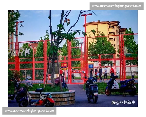 专业测评:十大篮球公园场地对比与推荐 专业测评:十大篮球公园场地对比与推荐